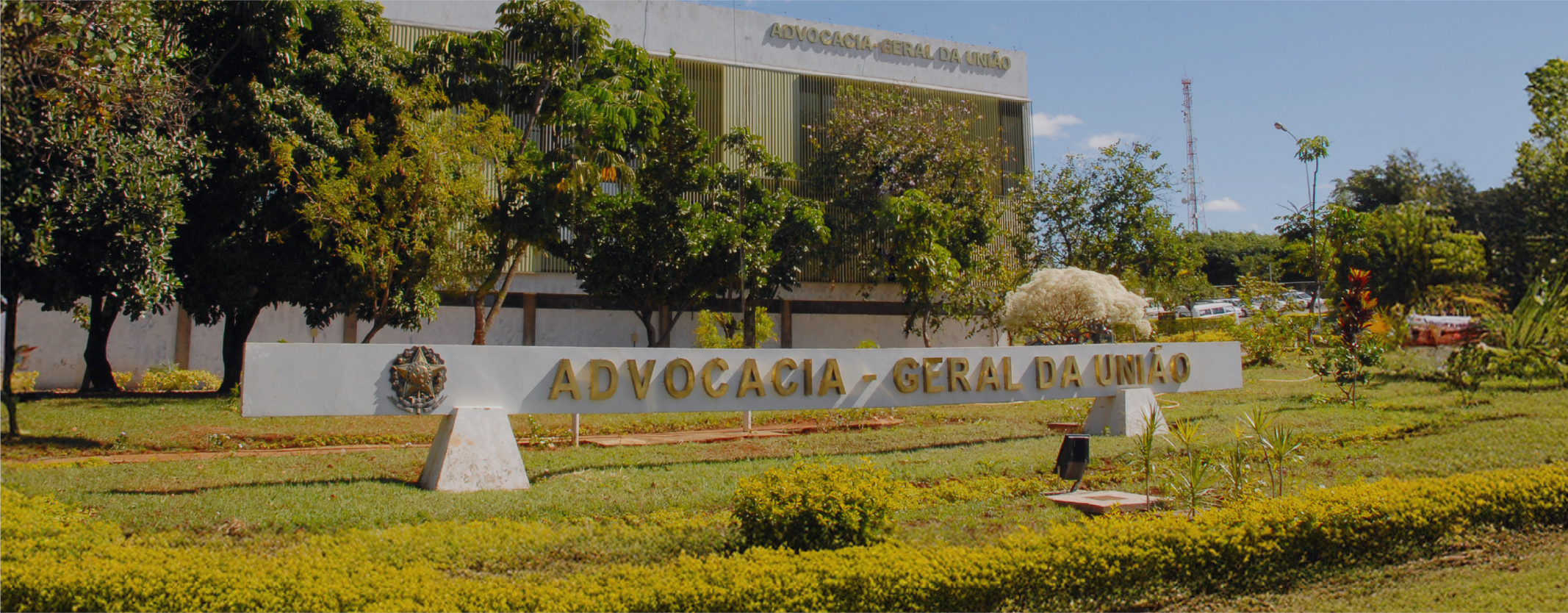 Pesquisa e Inovação no Direito Público